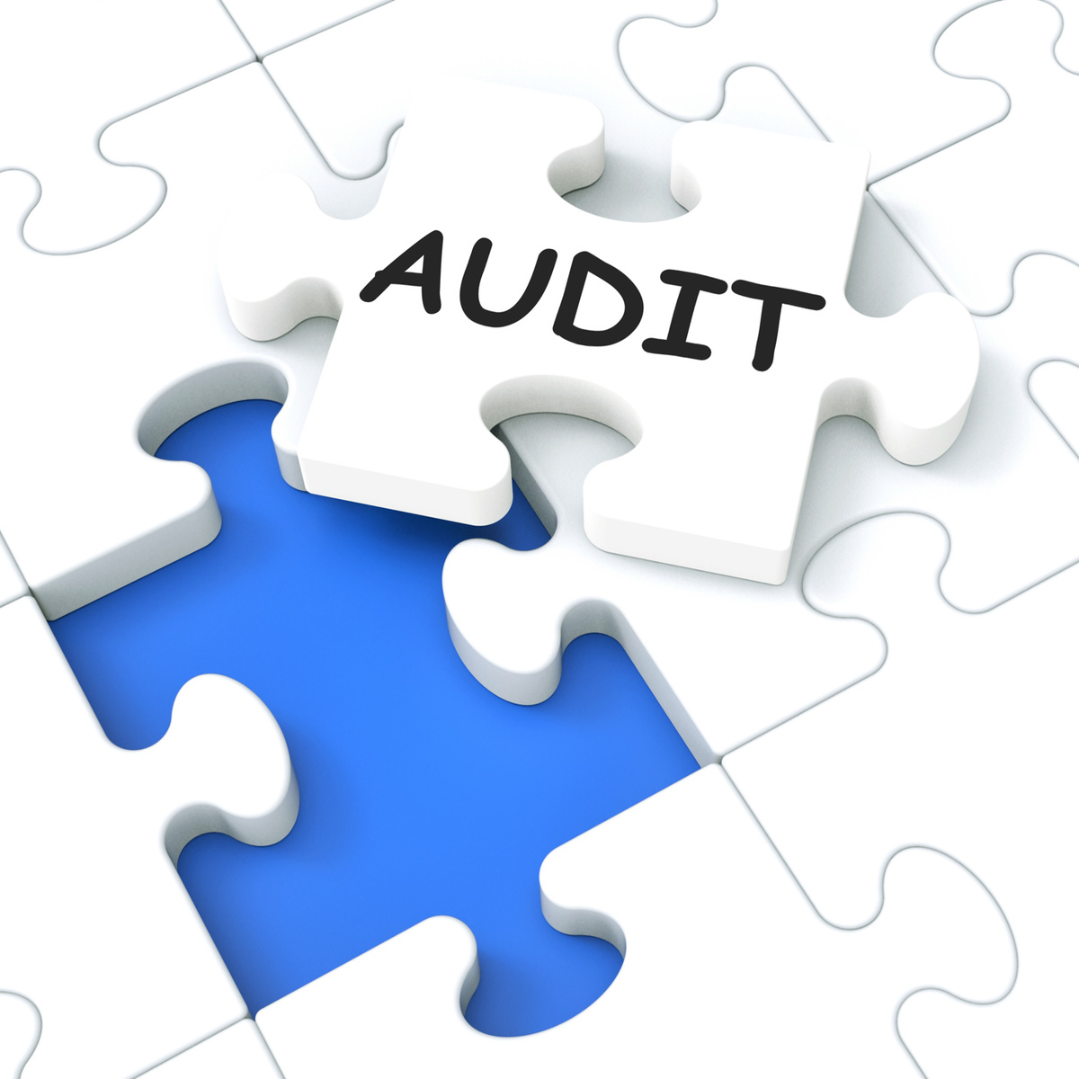 Audit